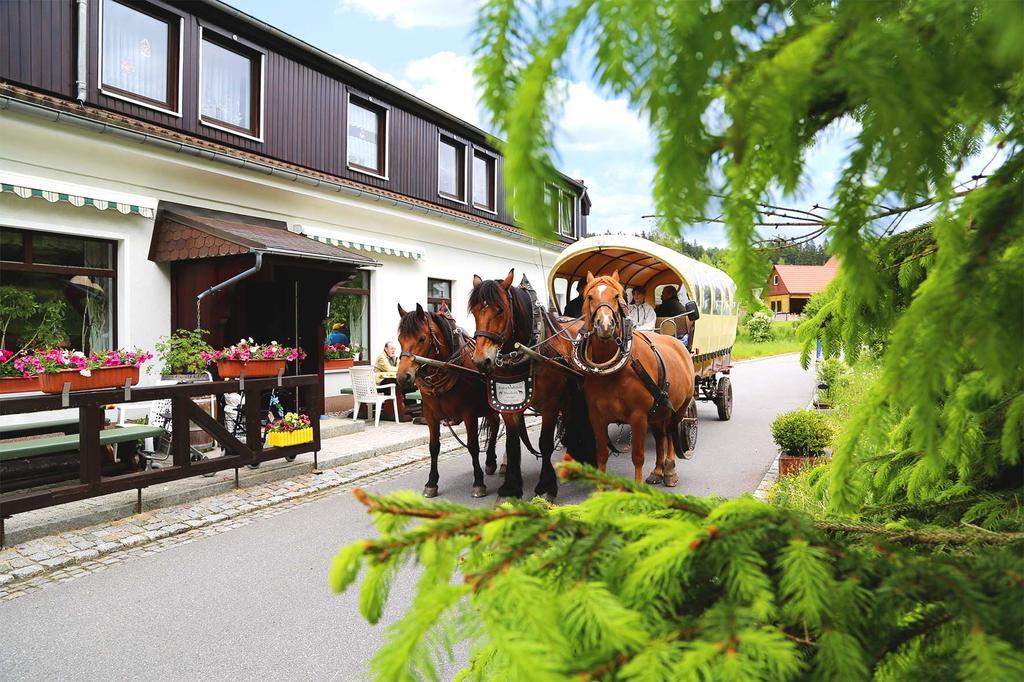 Gaststaette & Pension Waldquell Antonshohe Экстерьер фото